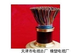 漯河銷售通信設(shè)備電源線RVVZ與RVVZ22-優(yōu)質(zhì)供應(yīng)來(lái)自天津市電纜總廠橡塑電纜廠